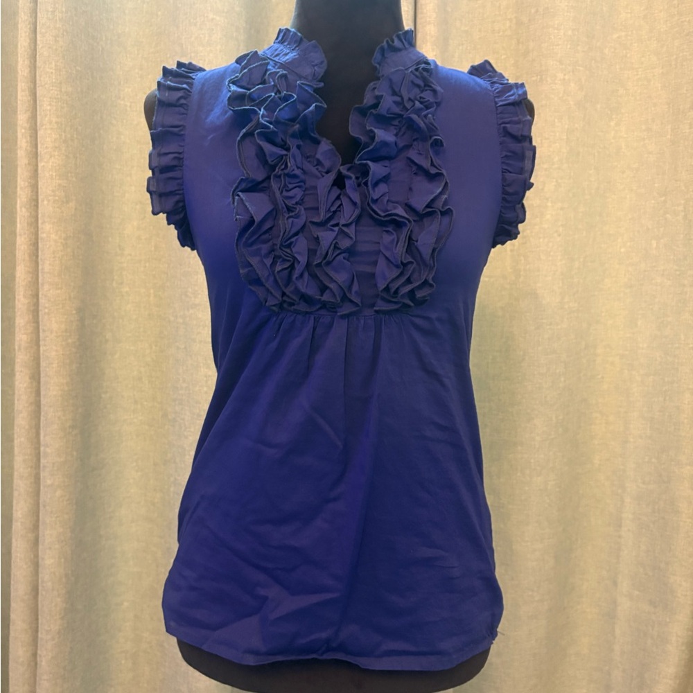 Arden B Blue Ruffled Blouse